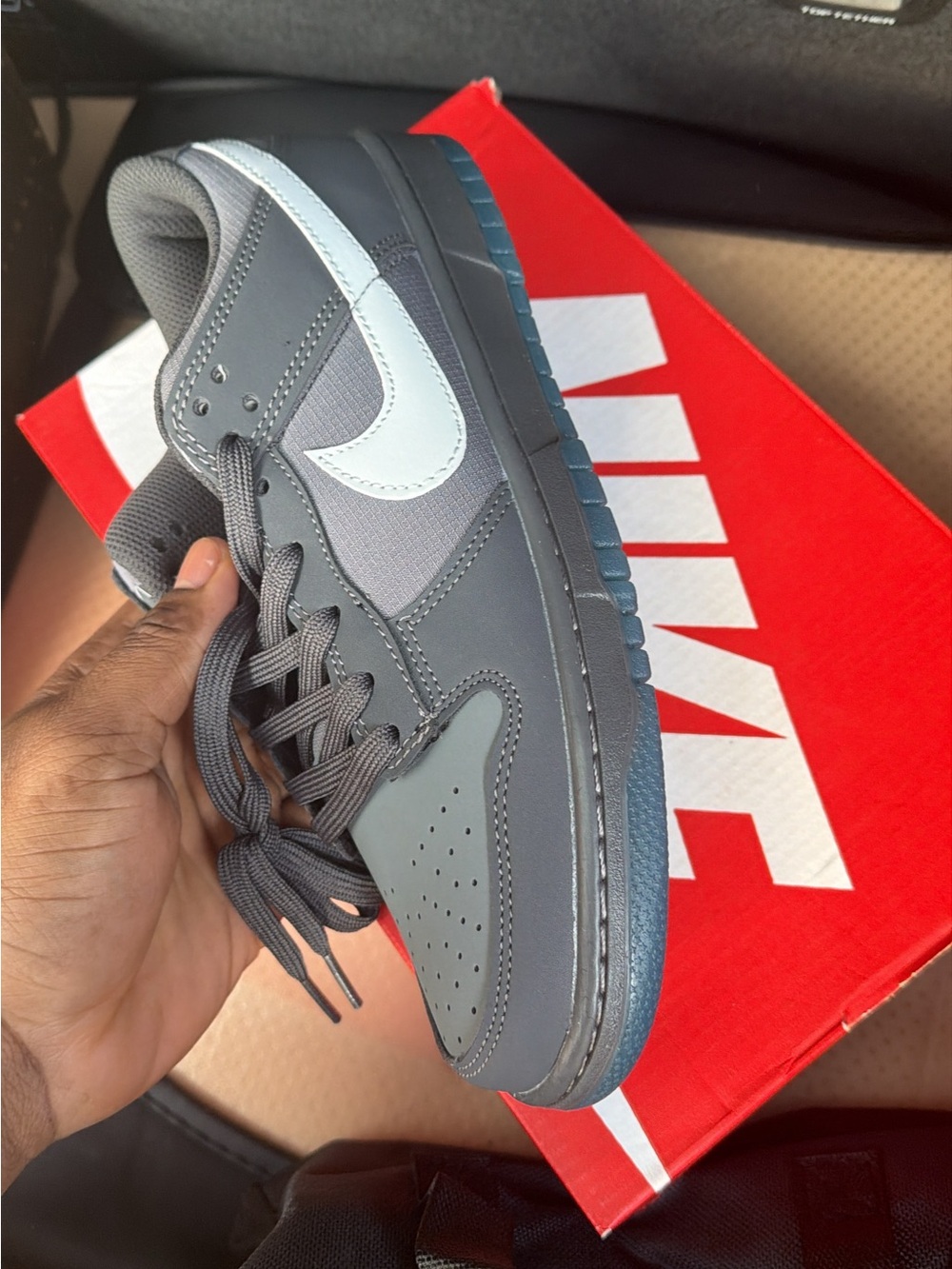 Nike Low-Top Sneaker in Gray with White Swoosh